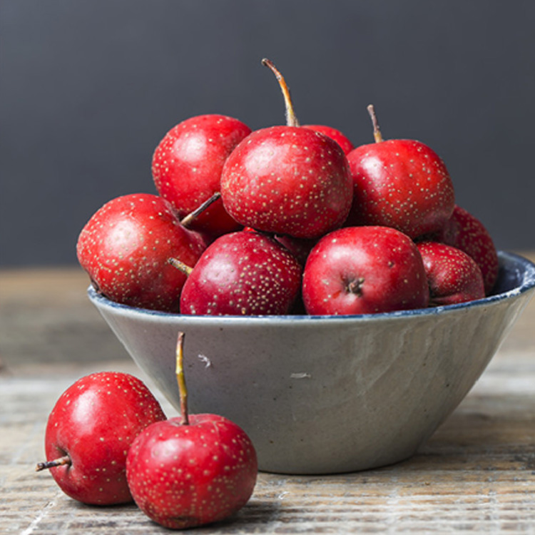 新鲜山楂果5斤装